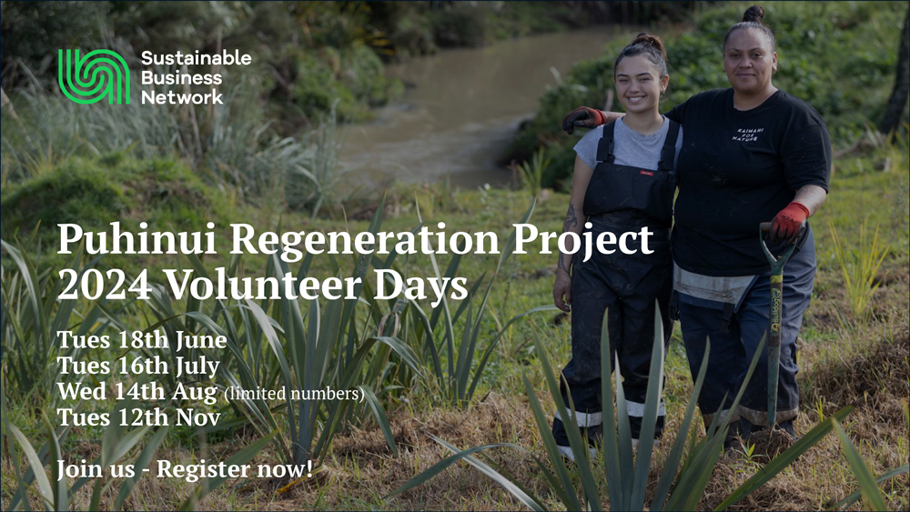 Puhinui-Regeneration-Project-2024-Volunteer-Days